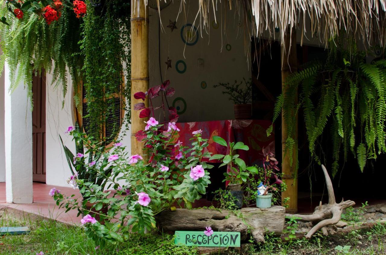Hostal Corazon De Tagua Palomino Exterior photo